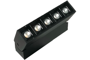 HỆ ĐÈN RAY NAM CHÂM