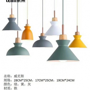 ĐÈN THẢ LED THCN 165-19