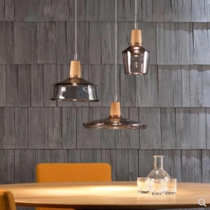 ĐÈN THẢ LED THCN 62A-19