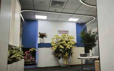 CÔNG TRÌNH HỒ TÙNG MẬU QUẬN 1